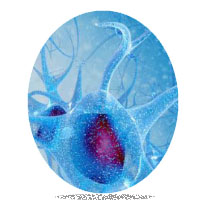 Neuropathy Management